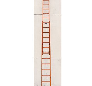 Bamboo ladder